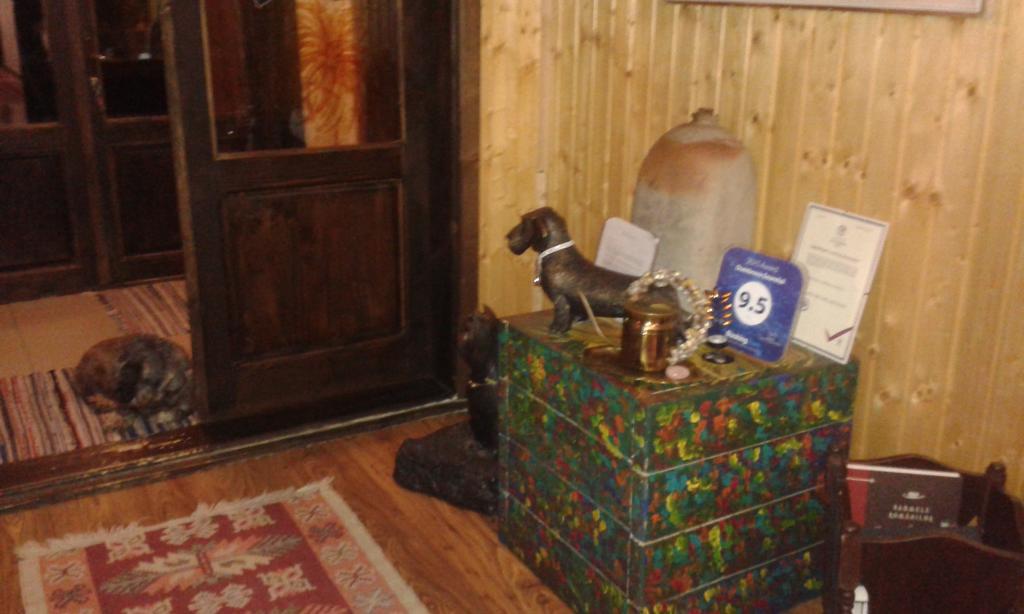 Hotel Dumbrava Soarelui Braszów Zewnętrze zdjęcie