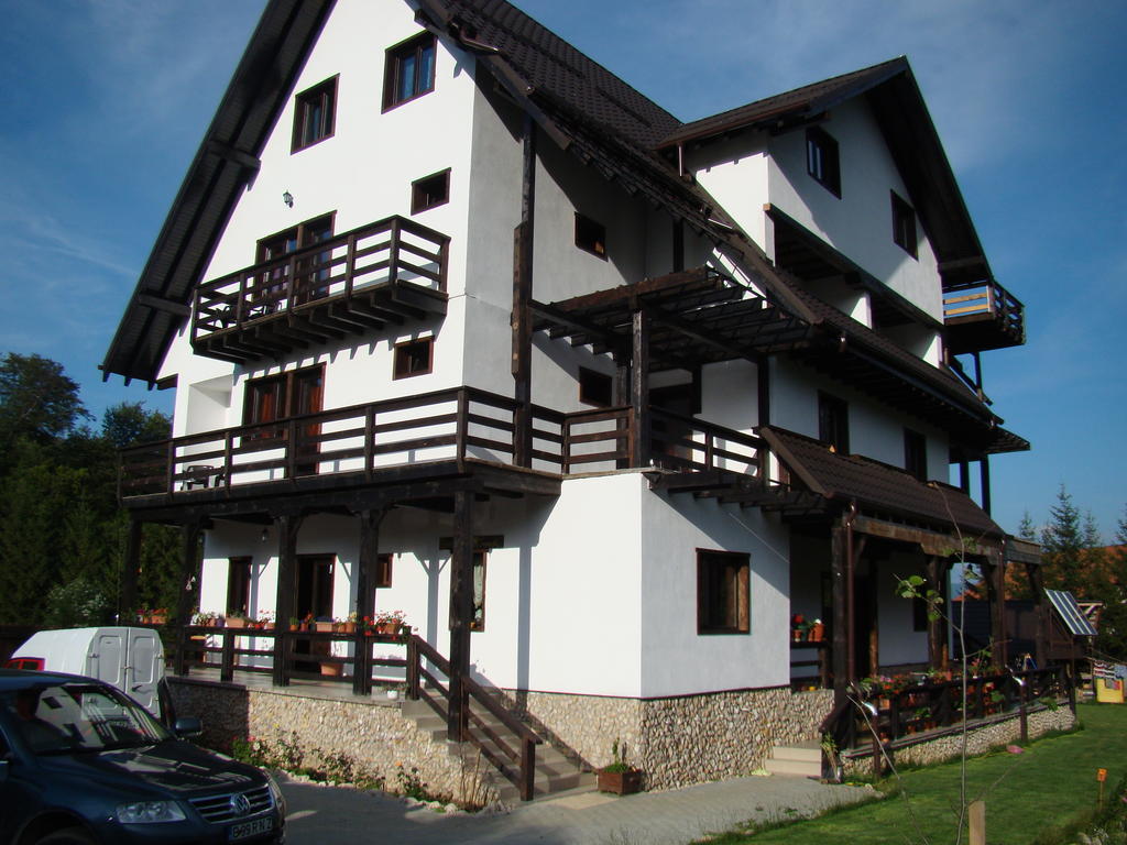Hotel Dumbrava Soarelui Braszów Zewnętrze zdjęcie